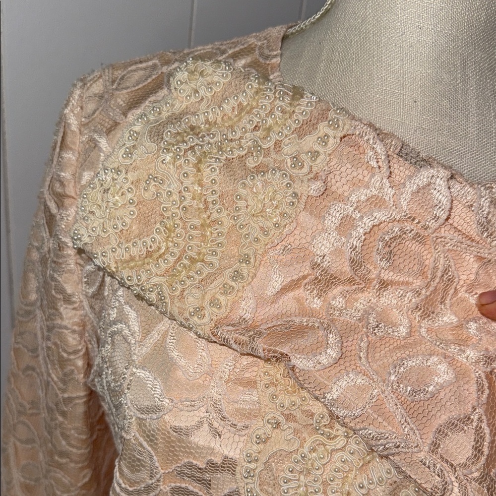 Elegant Lace Overlay Peach Dress Set - Picture 5 of 11